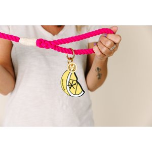 Pink Papyrus Lemon Slice Potty Pick Up Dog Poop Bag Holder