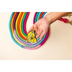 Pink Papyrus Lemon Slice Potty Pick Up Dog Poop Bag Holder
