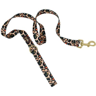 Pink Papyrus Pink Papyrus Leopard Polyester Dog Leash, 6-ft long 1-in wide