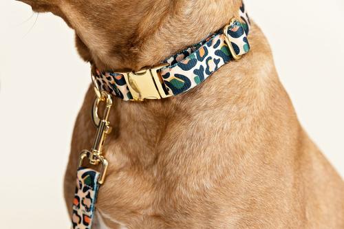 Show full view: Pink Papyrus Leopard Synthetic Dog Collar, Medium: 13 to 19-in neck 1-in wide slide 4 of 8