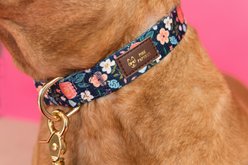 Pink Papyrus Navy Floral Synthetic Dog Collar, Medium: 13 to 19-in neck 1-in wide slide 2 of 6