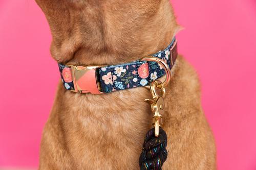 Show full view: Pink Papyrus Navy Floral Synthetic Dog Collar, Medium: 13 to 19-in neck 1-in wide slide 6 of 9