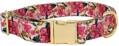 Show full view: Pink Papyrus Pink Floral Synthetic Dog Collar, Medium: 13 to 19-in neck 1-in wide slide 2 of 5