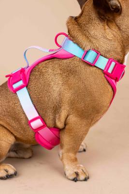 Show full view: Pink Papyrus Adjustable Cushioned Dog Harness, Pink, Medium: 20 to 28-in chest slide 3 of 10