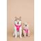 Show in main carousel: Pink Papyrus Adjustable Cushioned Dog Harness, Pink, Medium: 20 to 28-in chest slide 5 of 10