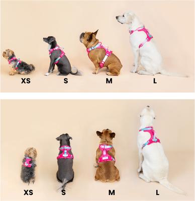 Show full view: Pink Papyrus Adjustable Cushioned Dog Harness, Pink, X-Small: 13 to 16-in chest slide 9 of 11