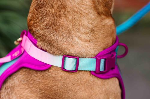 Show full view: Pink Papyrus Adjustable Cushioned Dog Harness, Purple, Medium: 20 to 28-in chest slide 5 of 9