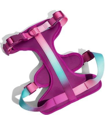 Show full view: Pink Papyrus Adjustable Cushioned Dog Harness, Purple, Small: 16 to 22-in chest slide 2 of 9