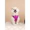 Show in main carousel: Pink Papyrus Adjustable Cushioned Dog Harness, Purple, Small: 16 to 22-in chest slide 3 of 9