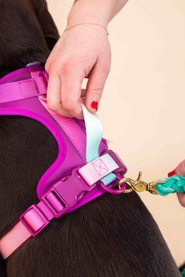 Show full view: Pink Papyrus Adjustable Cushioned Dog Harness, Purple, Small: 16 to 22-in chest slide 4 of 9