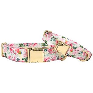 Pink Papyrus Spring Floral Polyester Dog Collar, Medium: 13 to 19-in neck 1-in wide