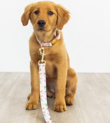 Show full view: Pink Papyrus Spring Floral Polyester Dog Collar, Medium: 13 to 19-in neck 1-in wide slide 5 of 6
