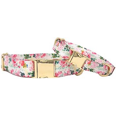 Pink Papyrus Pink Papyrus Spring Floral Polyester Dog Collar, X-Small: 8 to 12-in neck 5/8-in wide