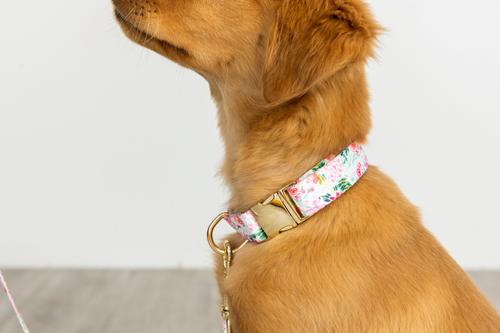 Show full view: Pink Papyrus Spring Floral Polyester Dog Collar, X-Small: 8 to 12-in neck 5/8-in wide slide 4 of 6