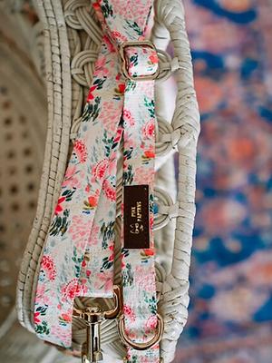 Show full view: Pink Papyrus Spring Floral Polyester Dog Leash, 6-ft long 1-in wide slide 4 of 7