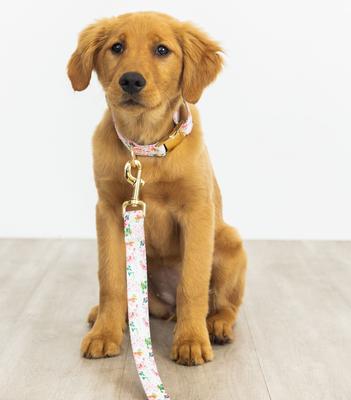 Show full view: Pink Papyrus Spring Floral Polyester Dog Leash, 6-ft long 1-in wide slide 6 of 7