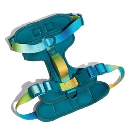 Pink Papyrus Adjustable Cushioned Dog Harness, Teal, Large: 26 to 38-in chest