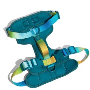 Pink Papyrus Adjustable Cushioned Dog Harness, Teal, Medium: 20 to 28-in chest