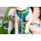 Show in main carousel: Pink Papyrus Adjustable Cushioned Dog Harness, Teal, Medium: 20 to 28-in chest slide 5 of 10
