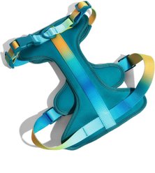Pink Papyrus Adjustable Cushioned Dog Harness, Teal, Small: 16 to 22-in chest
