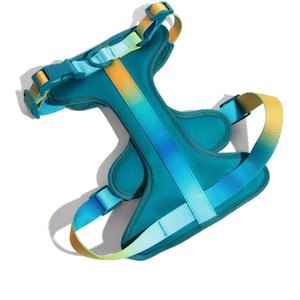 Pink Papyrus Adjustable Cushioned Dog Harness, Teal, Small: 16 to 22-in chest