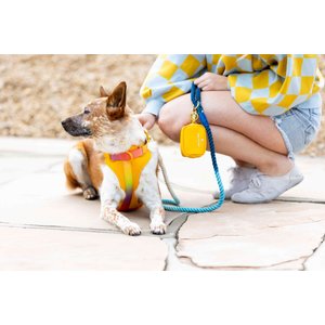 Pink Papyrus Adjustable Cushioned Dog Harness, Yellow, Medium: 20 to 28-in chest