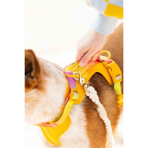 Pink Papyrus Adjustable Cushioned Dog Harness, Yellow, Medium: 20 to 28-in chest