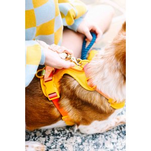 Pink Papyrus Adjustable Cushioned Dog Harness, Yellow, Medium: 20 to 28-in chest