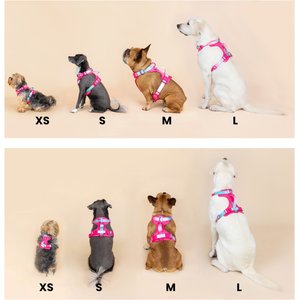 Pink Papyrus Adjustable Cushioned Dog Harness, Yellow, Medium: 20 to 28-in chest