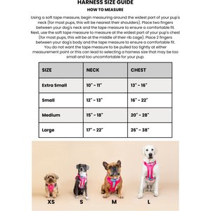 Pink Papyrus Adjustable Cushioned Dog Harness, Yellow, Medium: 20 to 28-in chest