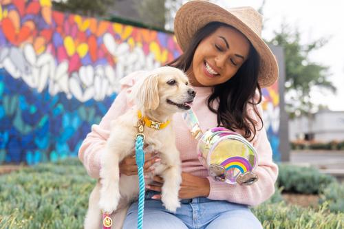 Show full view: Pink Papyrus Synthetic Dog Collar, Yellow, Large: 18 to 28-in neck 1-in wide slide 3 of 8