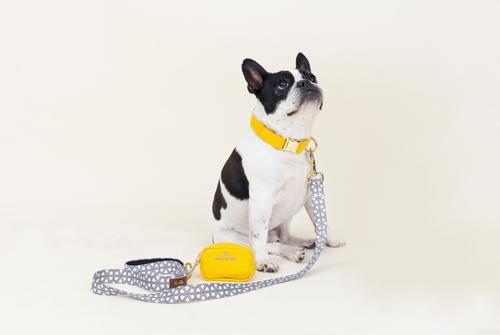 Show full view: Pink Papyrus Synthetic Dog Collar, Yellow, Large: 18 to 28-in neck 1-in wide slide 5 of 8