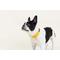 Show in main carousel: Pink Papyrus Synthetic Dog Collar, Yellow, Large: 18 to 28-in neck 1-in wide slide 6 of 8