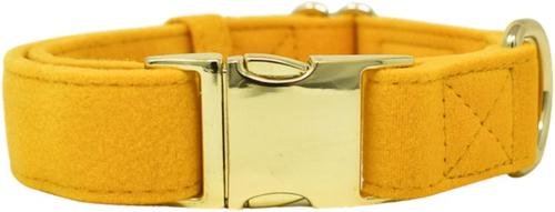 Show full view: Pink Papyrus Synthetic Dog Collar, Yellow, X-Small: 8 to 12-in neck 5/8-in wide slide 2 of 8