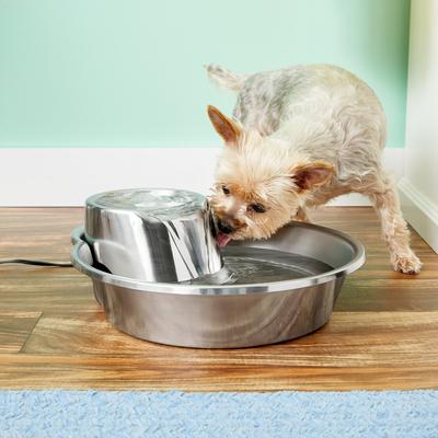 Show full view: Pioneer Pet Big Max Style Stainless Steel Dog & Cat Fountain, 128-oz + Replacement Filters, 3 pack slide 3 of 8