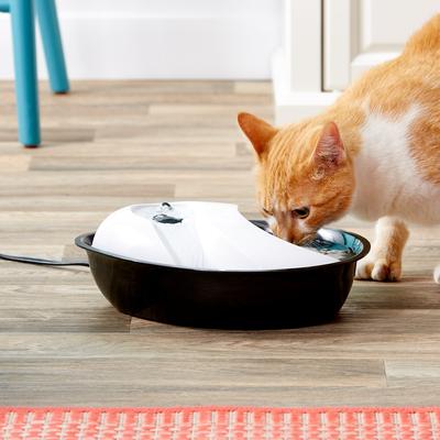 Show full view: Pioneer Pet Plastic Dog & Cat Fountain Raindrop Design, 60-oz + Replacement Filters, 3 pack slide 5 of 8