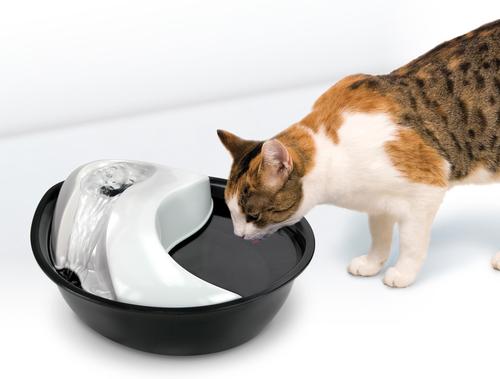 Show full view: Pioneer Pet Plastic Dog & Cat Fountain Raindrop Design, 60-oz + Replacement Filters, 3 pack slide 4 of 8