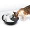 Show in main carousel: Pioneer Pet Plastic Dog & Cat Fountain Raindrop Design, 60-oz slide 4 of 11