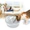 Show in main carousel: Pioneer Pet Raindrop Ceramic Dog & Cat Fountain, White, 60-oz slide 3 of 12