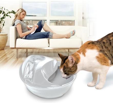 Show full view: Pioneer Pet Raindrop Ceramic Dog & Cat Fountain, White, 60-oz slide 3 of 12