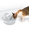 Show in main carousel: Pioneer Pet Raindrop Ceramic Dog & Cat Fountain, White, 60-oz slide 4 of 12