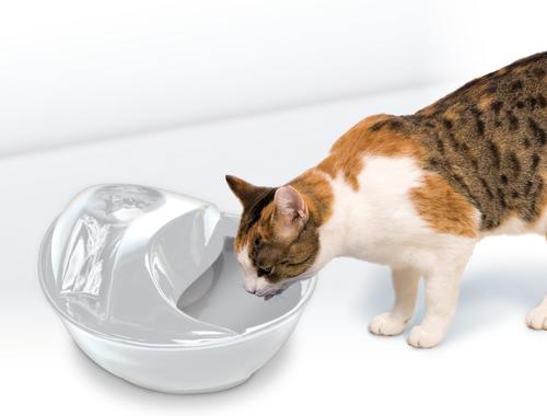 Show full view: Pioneer Pet Raindrop Ceramic Dog & Cat Fountain, White, 60-oz slide 4 of 12