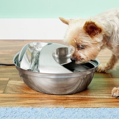 Pioneer Pet Stainless Steel Dog & Cat Fountain Raindrop Design