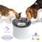 Show in main carousel: Pioneer Pet Vortex Drinking Dog & Cat Fountain, Gray, Medium slide 4 of 7