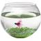 Show in main carousel: Aqua Natural Betta Aquarium Jewels, Emerald, 17-oz bag slide 3 of 5