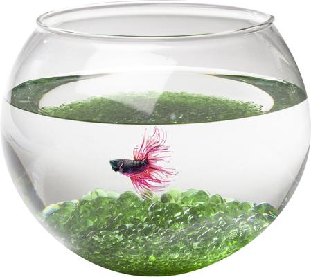 Show full view: Aqua Natural Betta Aquarium Jewels, Emerald, 17-oz bag slide 3 of 5