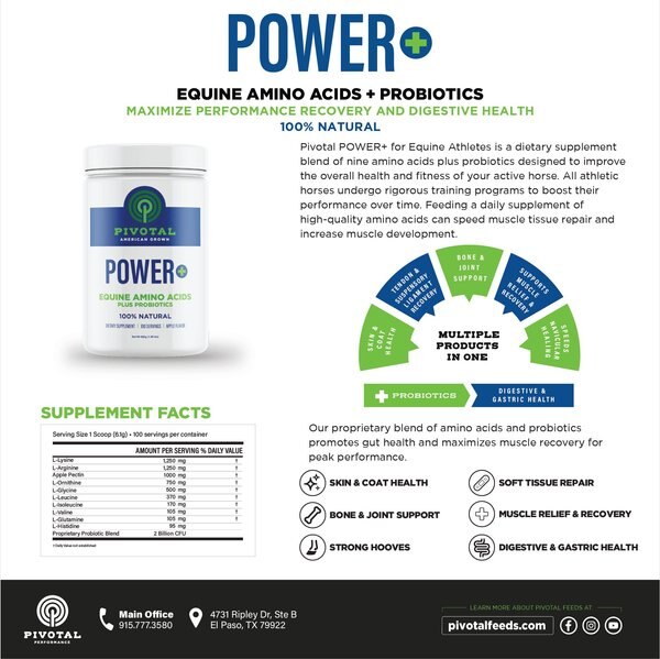 Pivotal POWER+ Apple Flavored Powder Horse Supplement, 620-g jar