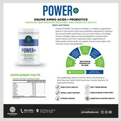 Show full view: Pivotal POWER+ Apple Flavored Powder Horse Supplement, 620-g jar slide 3 of 3