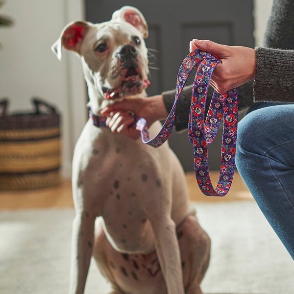 Pixar Coco Dog Leash