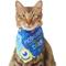 Show in main carousel: Pixar Monster's Inc "Monsters Make the Best Friends" Dog & Cat Bandana, X-Small/Small slide 3 of 9